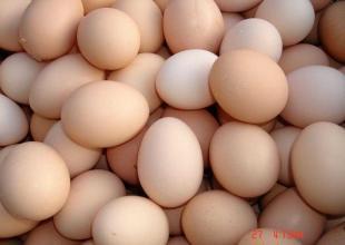 供应草鸡蛋(个小口感好)_农副产品