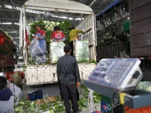 贵州省75万余农户 蔬菜销售渠道更畅通